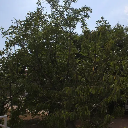 By The Sea Starigrad, Paklenica - 6586 Apartment *